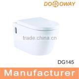European Bathroom Wall Hung Toilet Parts DG145