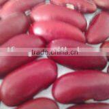 Red Kidney Bean( 2013 Crop, Heilongjiang Origin, Hps) thumbnail-1