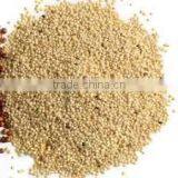 AMARANTH GRAIN INDIA OROGIN thumbnail-4