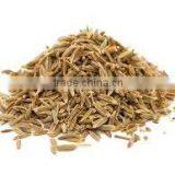 Indian Testy Whole Spices - Whole Large Cumin (Jeera) thumbnail-5