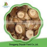 New Crop High Quality Frozen Shiitake Quarters On Sale And Low Price thumbnail-4