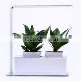 Purple Flower Table Lamp thumbnail-1