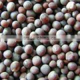 Pakistan Best Quality Black Mustard Seeds