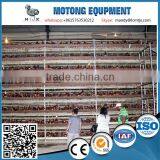 h Type Baby Chick Cage Sale for Poultry Chicken Breeding System thumbnail-3