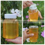 500g Wide Mouth Empty Plastic Food Bottle Honey Bottle With Golden Lid thumbnail-2