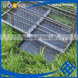 20", 24", 30", 36", 42", 48" Metal Dog Cage For Sale thumbnail-5