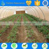 TS Irrigation Micro Irrigation System Hot House Irrigation thumbnail-3