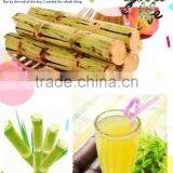 NEWEEK Shop Use Commercial Stainless Electric Sugar Cane Crusher thumbnail-2