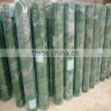 Non-galvanized Welded Wire Mesh/pvc Welded Wire Roll