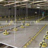 Chickens plastic flooring\poultry plastic slat floor