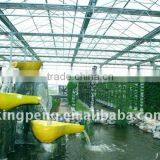 Vegetable Growing Greenhouse thumbnail-1