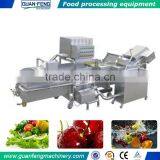 Multi-function washing machine for vegetables and fruits bubble washer