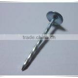 2.5 Inch Umbrella Head Roofing Nail Twisted Shank Roofing Nail Factory Price thumbnail-2