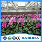 Agricultural Used Greenhouse Sale thumbnail-5