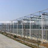 Large Size Multi-span Glass Greenhouse/commercial Greenhouses thumbnail-3