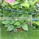 Plants Support thumbnail-1