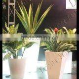 Plastic Pot Light Pot thumbnail-1