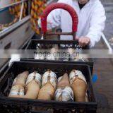 I. Fish Company Limited company overview - view 2 thumbnail