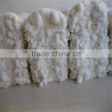 Excellent Rabbit Skin Rabbit Fur Collars of Otter Rabbit Fur thumbnail-1