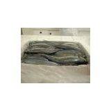 Uruguay Horse Mackerel thumbnail-1