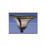 Garden Lamp With Induction Lamp(NLW-ZT-70001) thumbnail-1