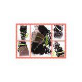 Wholesale-brazilian Virgin Hair 4x4 Lace Top Closure Hair Extension thumbnail-3