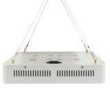 High Power 200leds Square 1200w Led Grow Light thumbnail-3