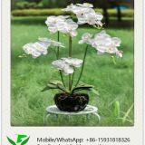 Decorative Real Touch White Artificial Orchid thumbnail-1