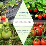 Relight Full Spectrum Led Strip Grow Lights for Vegetable Cultavation and Greens Growth thumbnail-6