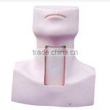 Tracheostomy Simulator
