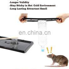 Heavy Duty Rat Mouse Snake Insect Glue Trap Plastic Tray Rat Lizard Mice Glue Trap thumbnail-4