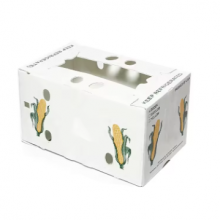 Reusable PP Hollow Packaging Box – Corrugated Plastic Crate for Fruit and Vegetable Transport