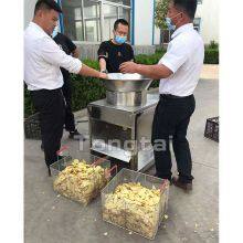TQP500 Ginger Slicer Automatic Ginger Slicer Equipment thumbnail-2