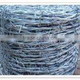 Electro Galvanized Barbed Wire