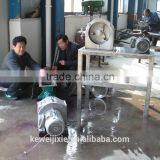 Pineapple Juice Machine Export to Many Countries