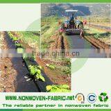 Fruit Protection Nonwoven Fabric Bag/agriculture pp Non Wovens Spunbond /Crop Covers Material Cloth/weed Mat