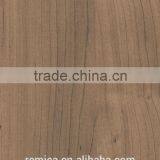 Remica 5485 Maple Wood Grain HPL Sheets