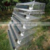 High Quality Quail Layer Poultry Cages For Kenya Farm And Quail Layer Cage Design ( Now or Never ) thumbnail-4