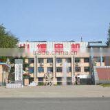 Shandong Shanbo Electric Machine Group Co., Ltd. company overview - view 2 thumbnail
