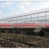 Double Inflated Plastic Film Greenhouse thumbnail-1