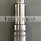 Diesel Fuel Plunger 2455 012 Weifu Plunger 2455 012