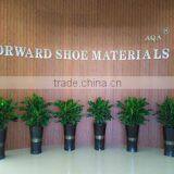 Fujian Forward Shoe Materials Co., Ltd. company overview - view 1 thumbnail