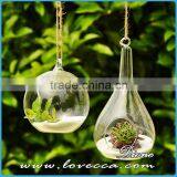 Plant Hanging Teardrop Shaped Glass Vase for Sale thumbnail-3