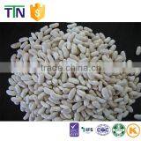 TTN Wholesale Haricot Bean and White Kidney Beans Price thumbnail-3