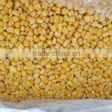IQF Frozen Chinese Yellow Corn Sweet Corn on Cob thumbnail-5