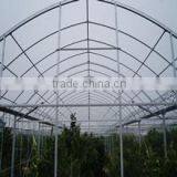 Quzhou Jianong Fruit And Vegetable Trading Co., Ltd. company overview - view 1 thumbnail
