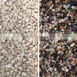 2017 Intelligent Image Double Side Ccd Camera Bean Color Sorting thumbnail-5