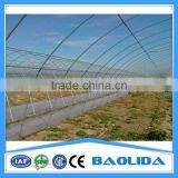 Low Cost Greenhouse thumbnail-3