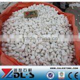 Snow White Cobble Stone Pebble Stone for Landscaping Paving thumbnail-1