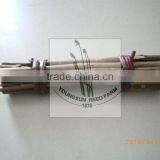 Willow Stick/stake thumbnail-4